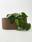 M&Co Villanova Planter product photo View 02 S