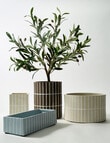 M&Co Selva Planter product photo
