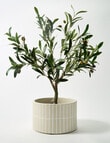 M&Co Selva Planter product photo View 02 S