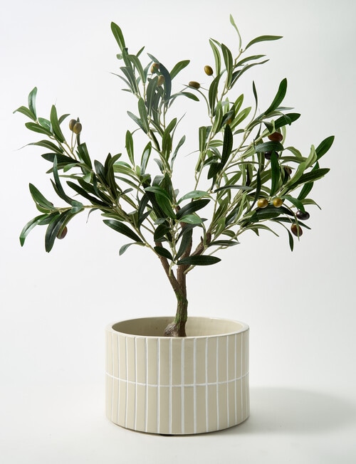 M&Co Selva Planter product photo View 02 L