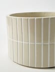M&Co Selva Planter product photo View 05 S
