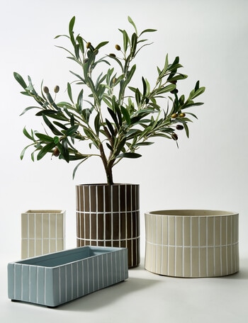 M&Co Selva Pot product photo