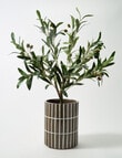 M&Co Selva Pot product photo View 02 S