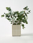 M&Co Selva Pot product photo View 02 S