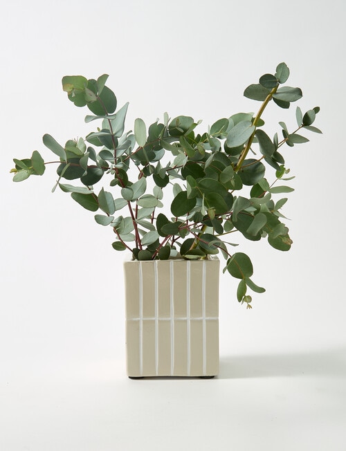 M&Co Selva Pot product photo View 02 L