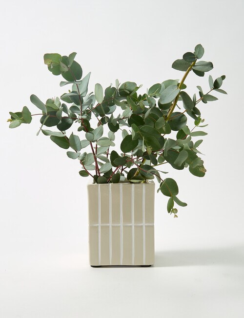 M&Co Selva Pot product photo View 02 L