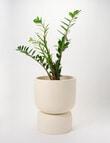 Tilly Home Arcadia Planter Sand product photo