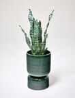 Tilly Home Arcadia Planter, Olive product photo