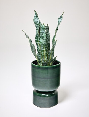 Tilly Home Arcadia Planter, Olive product photo