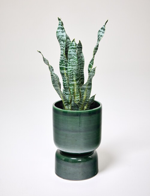 Tilly Home Arcadia Planter, Olive product photo