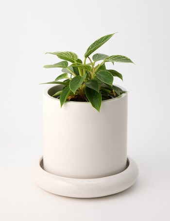Tilly Home Tali Pot, Beige product photo