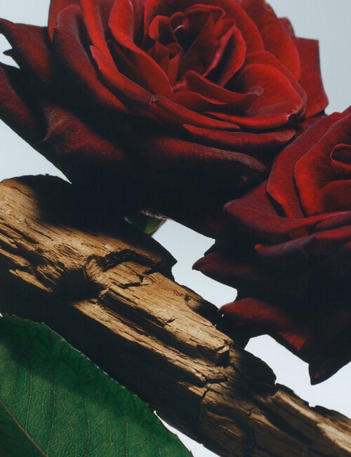 Jo Malone London Velvet Rose & Oud All Over Body Spray, 150ml product photo View 03 L