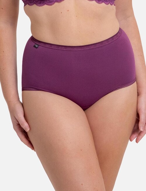 Sloggi Maxi Brief, 2-Pack, Blue Strawberry & Purple product photo View 02 L