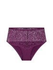 Triumph Essential Lace Maxi Flower Brief, Purple product photo View 04 S