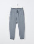 No Issue Slim Paneled Trackpant, Fog product photo