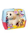 Little Live Pets Ouchies Deluxe Single Pack, Retriever product photo View 02 S