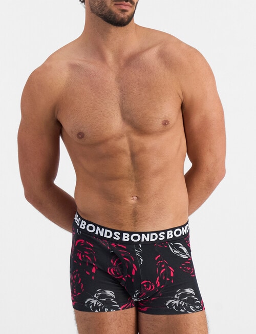 Bonds Classic Trunk, 3-Pack, Fig Leaf, Super Flamingo & Nu Black product photo View 03 L