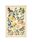 Stevens Flora Citrus Tea Towel product photo