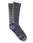 Bonds Explorer Tech Crew Sock, 2-Pack, Dark Charcoal & Kosciuszko Blue product photo