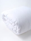 Domani 80/20 Goose Down & Feather Duvet Inner product photo View 02 S
