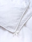 Domani 80/20 Goose Down & Feather Duvet Inner product photo View 03 S