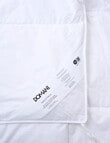 Domani 50/50 Goose Down & Feather Duvet Inner product photo View 04 S