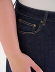 Denim Republic Curve A-Line Denim Maxi Skirt, Rinse Wash product photo View 04 S