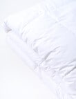 Domani 70/30 Goose Down & Feather Duvet Inner product photo View 02 S