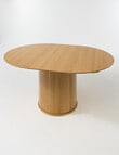 LUCA Furniture Porto Dining Table D1.2-1.67m, Natural product photo View 10 S