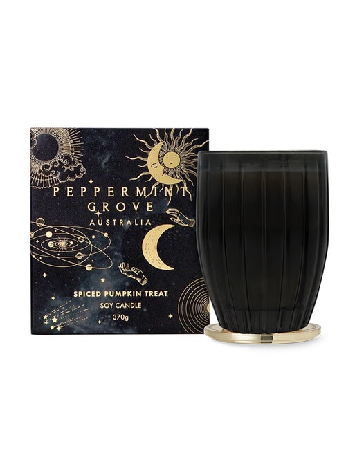 Peppermint Grove Spiced Pumpkin Treat - Large Candle 370g product photo
