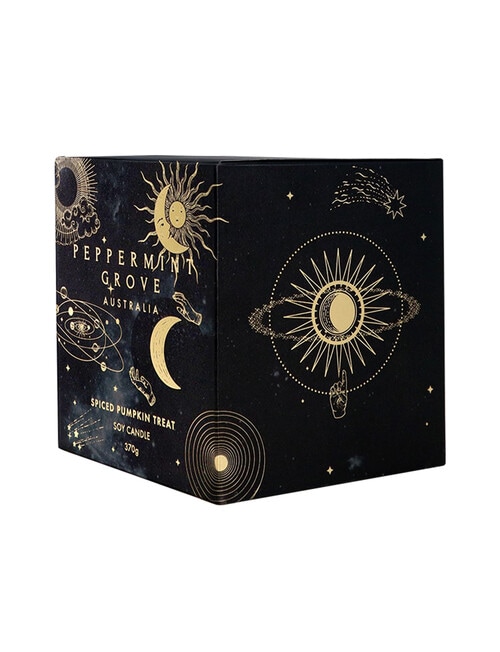 Peppermint Grove Spiced Pumpkin Treat - Large Candle 370g product photo View 02 L