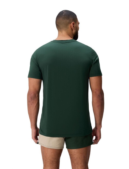 Canterbury Fundamentals Tee, Sycamore product photo View 02 L