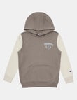 Champion Graphic Hoodie, Grey product photo