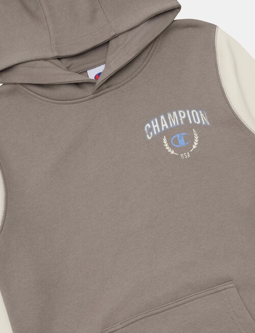 Champion Graphic Hoodie, Grey product photo View 03 L