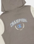 Champion Graphic Hoodie, Grey product photo View 04 S