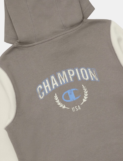 Champion Graphic Hoodie, Grey product photo View 04 L