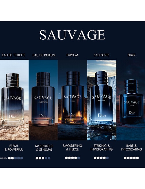 Dior Sauvage Eau De Toilette Travel Spray product photo View 03 L