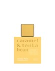 The Aromatherapy Co. Aroma Pure Car Diffuser, Caramel & Tonka Bean product photo