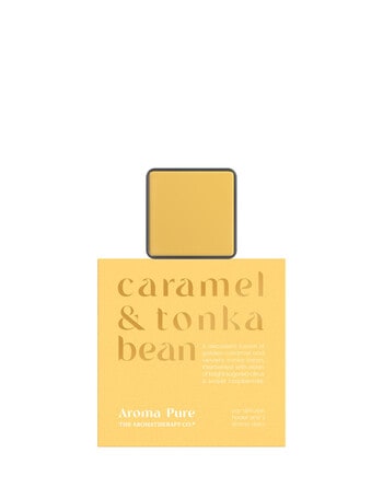 The Aromatherapy Co. Aroma Pure Car Diffuser, Caramel & Tonka Bean product photo