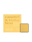 The Aromatherapy Co. Aroma Pure Car Diffuser, Caramel & Tonka Bean product photo View 02 S