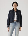 Levis Logan Tencel Shacket, Dark Nights product photo