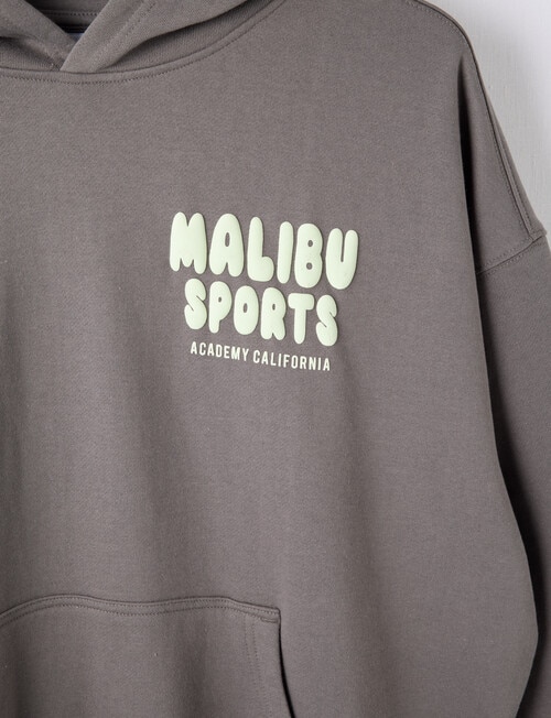 Switch Malibu Sports Oversized Hoodie, Charcoal & Matcha product photo View 03 L