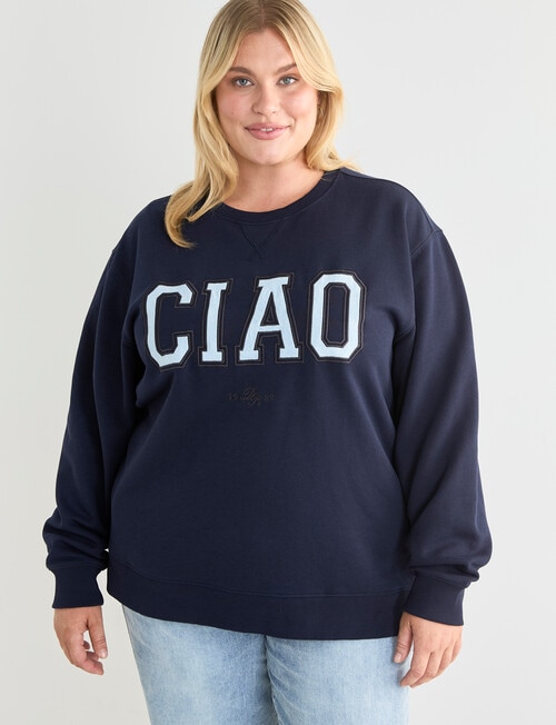 Denim Republic Curve Applique Crew Sweat, Navy product photo View 05 L