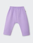 Bonds Violet Rules Quilted Pant, Purple product photo