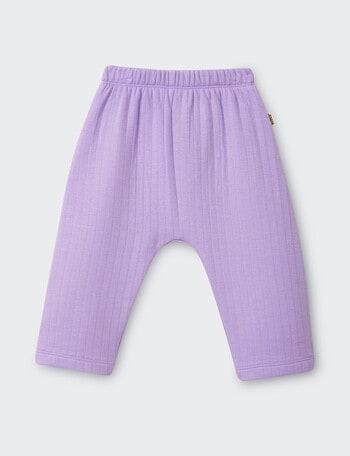 Bonds Violet Rules Quilted Pant, Purple product photo