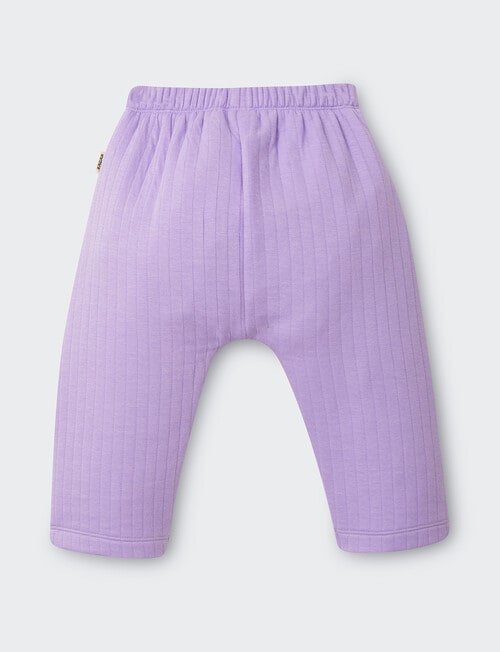 Bonds Violet Rules Quilted Pant, Purple product photo View 02 L