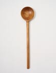 Stevens Montreal Wood Spoon product photo View 02 S