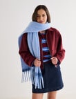 Boston + Bailey Tone Tassel Blanket Scarf, Blue & Dark Blue product photo View 03 S