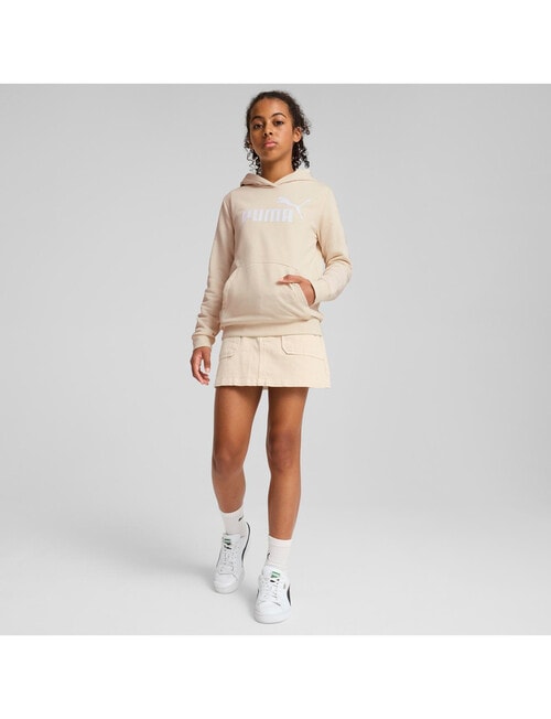 Puma Essentials No 1 Logo Hoodie, Alpine Snow product photo