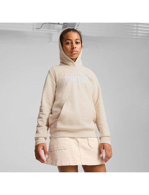 Puma Essentials No 1 Logo Hoodie, Alpine Snow product photo View 02 L